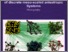 [thumbnail of Gerasymov_Photonics_M_2018.pdf]