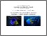 [thumbnail of RydkovskayaEV_VasilievaMG_Gidroximiya_ta_Bioximiya_Gidrobiontiv_MV_SRS_2019.pdf]