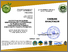[thumbnail of Sertifikat_Skobyak_Nastya_Kherson_2020.jpg]